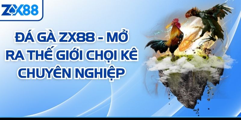 Đá Gà ZX88 - Mở Ra Thế Giới Chọi Kê Chuyên Nghiệp